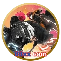 88xx com